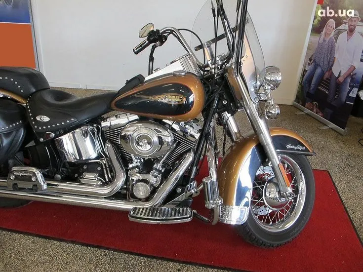 Harley-Davidson FLSTC Image 1